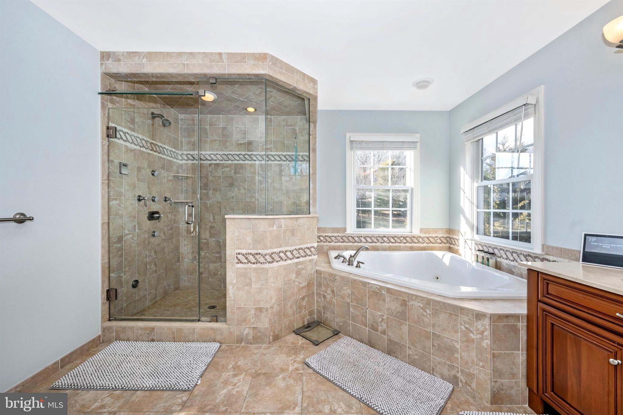 25103 Vista Ridge Road Laytonsville, MD 20882 - Photo 36 of 103