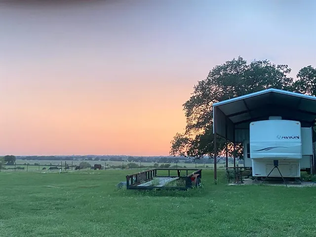 a view of a bench in a grassy field