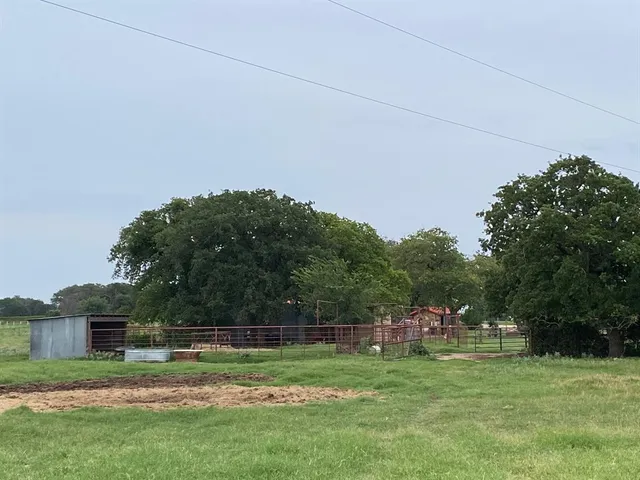 a backyard of a house and trees