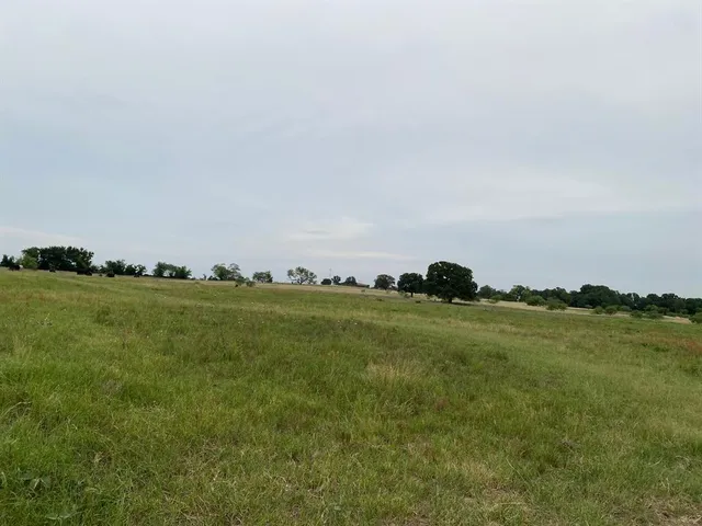 a view of a field with an ocean