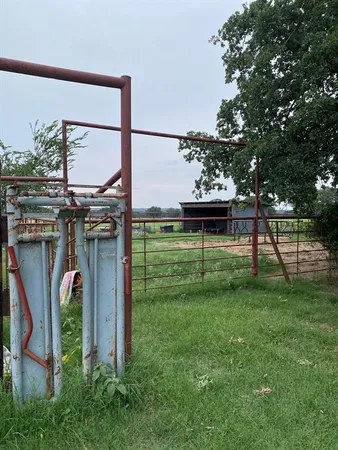 a view of a park that has a tree in it