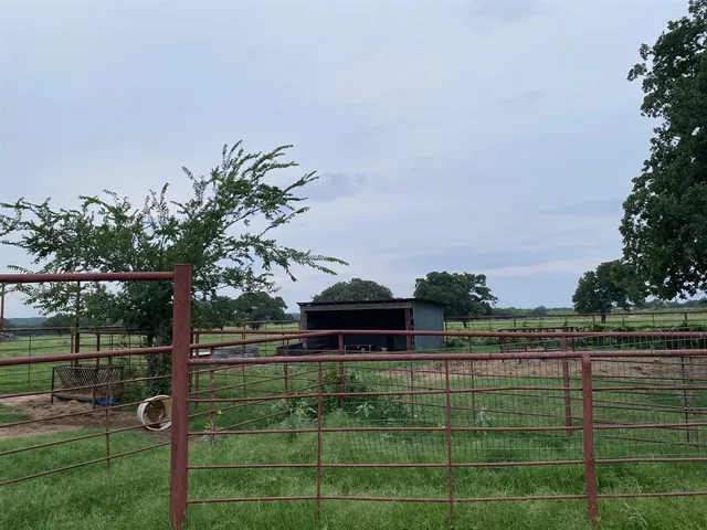 a view of a green yard