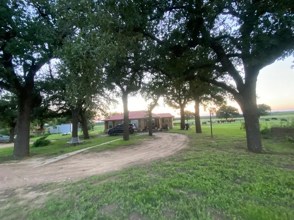 a view of a park with large trees