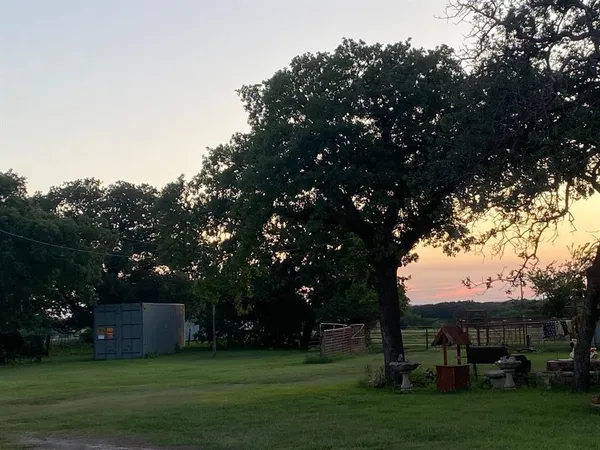 a view of a trees and garden