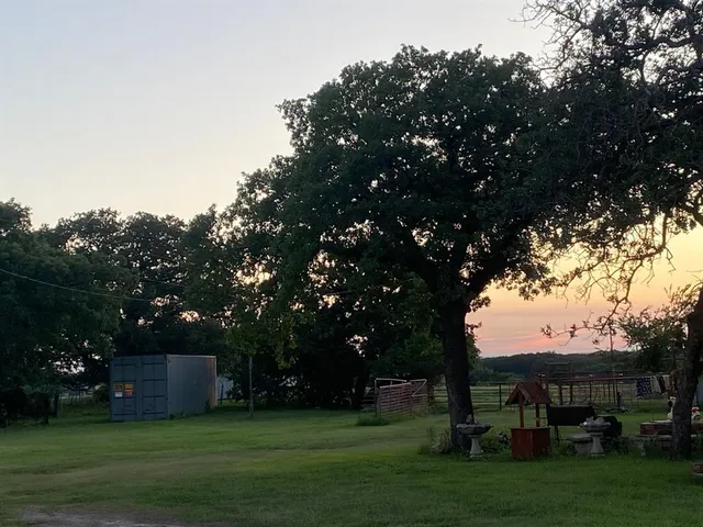 a view of a trees and garden