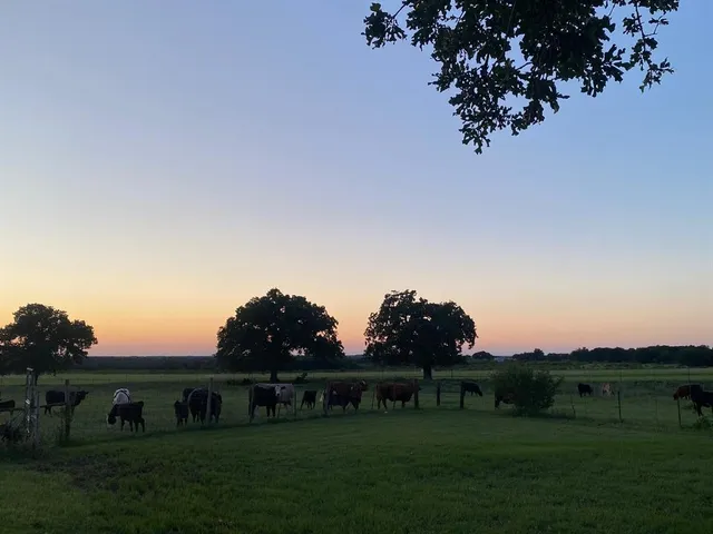 $950,000 | 1350 County Road 404, Comanche, TX 76442