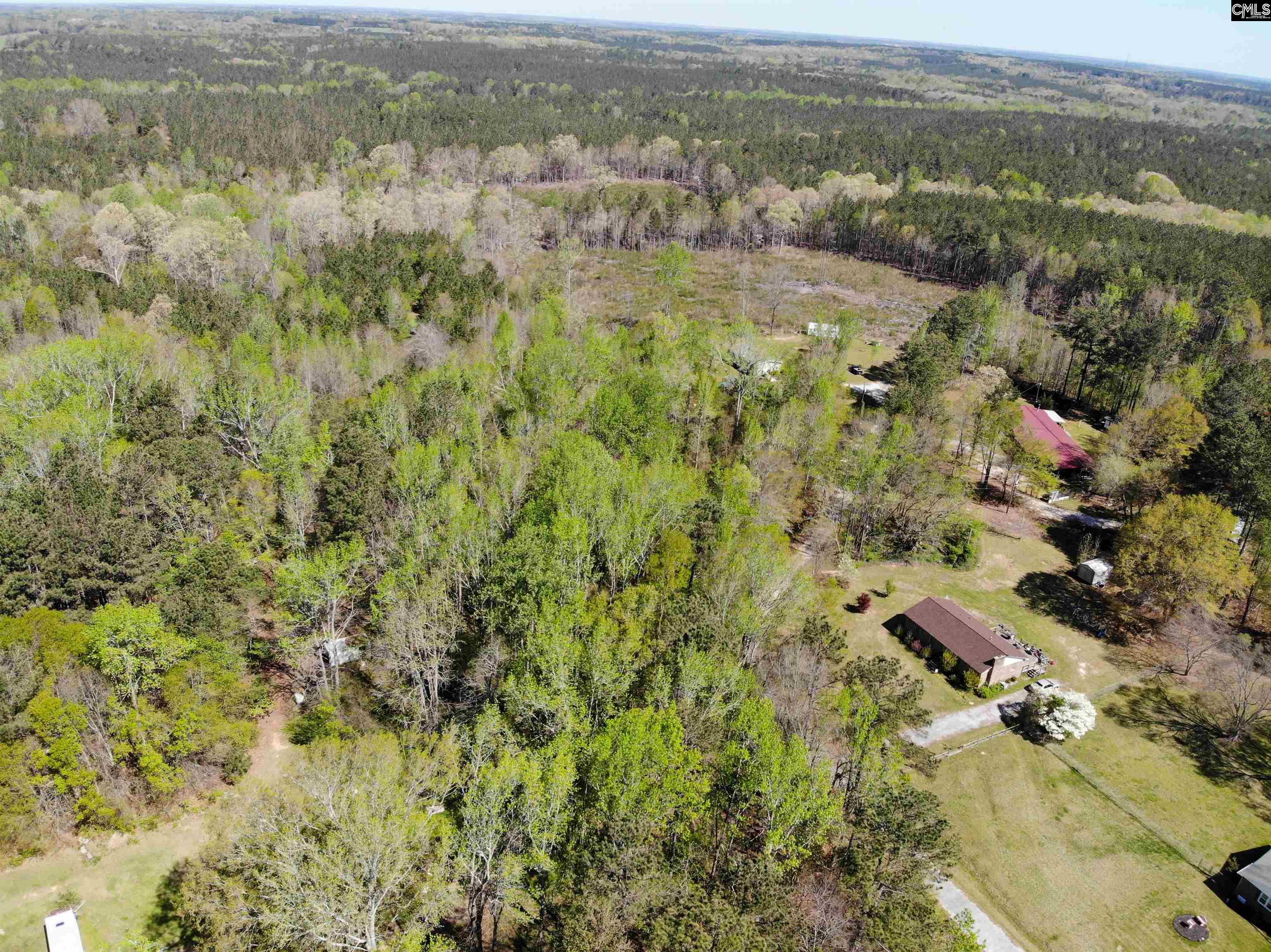 Tbd James Road Joanna, SC 29351 - Photo 22 of 82