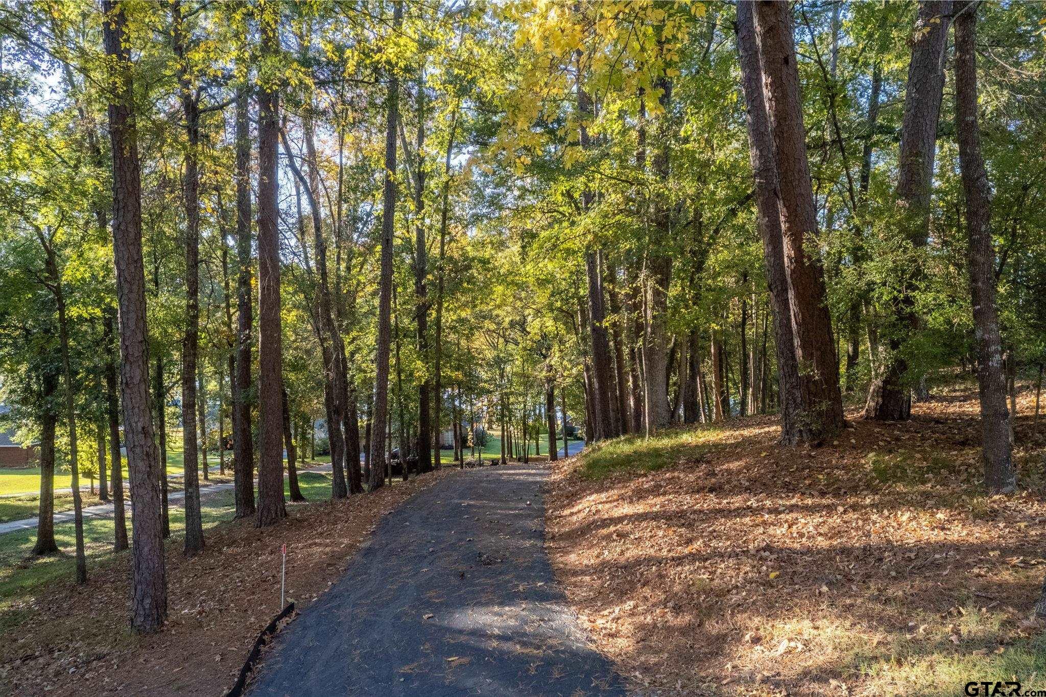 14312 East Ridge Road Arp, TX 75750 - Photo 39 of 44 a view of outdoor space with trees