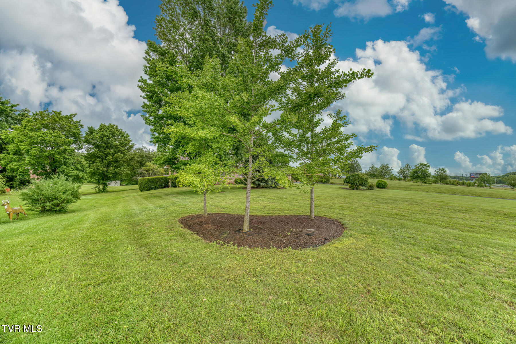 424 Jonesboro Road Piney Flats, TN 37686 - Photo 92 of 98 424 Jonesboro Rd-77