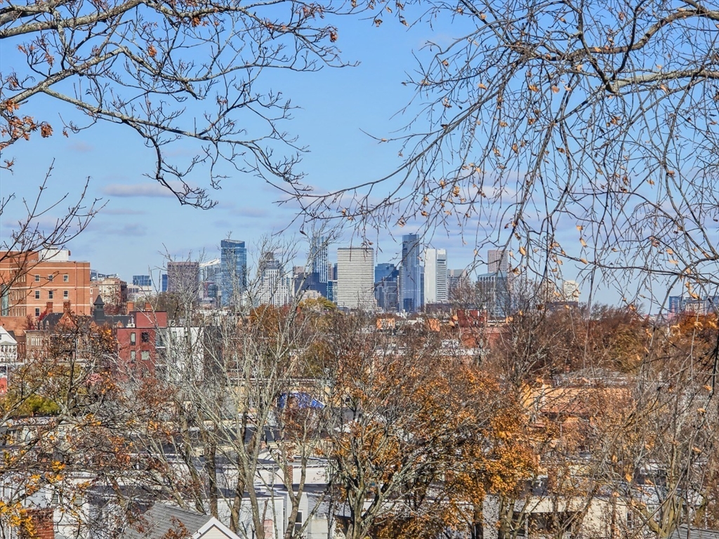 34 Dix Street, Unit 5 Boston, MA 02122 - Photo 8 of 23 a view of a dry yard with trees