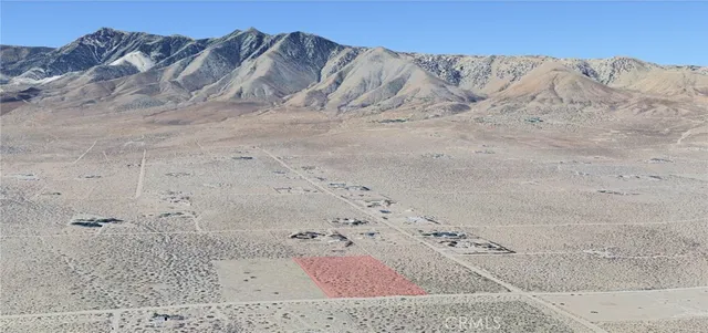 a view of a dry backyard