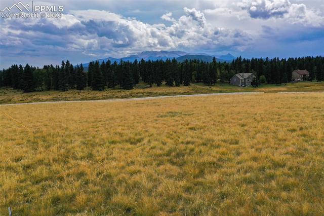 195 Joshua Road Divide, CO 80814 - Photo 7 of 20 Gallery Image 7