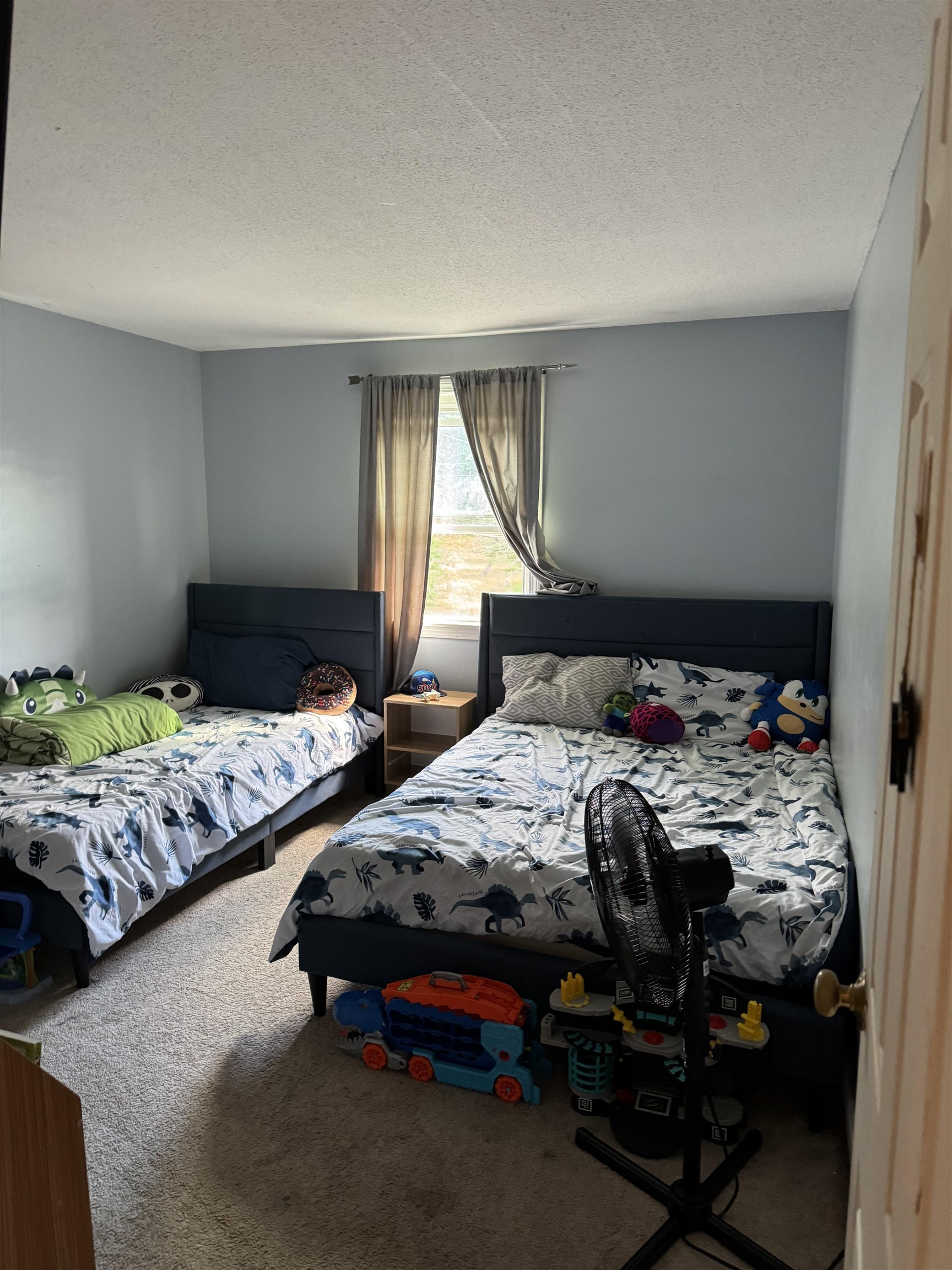 5b Shelley Drive Hudson, NH 03051 - Photo 10 of 42