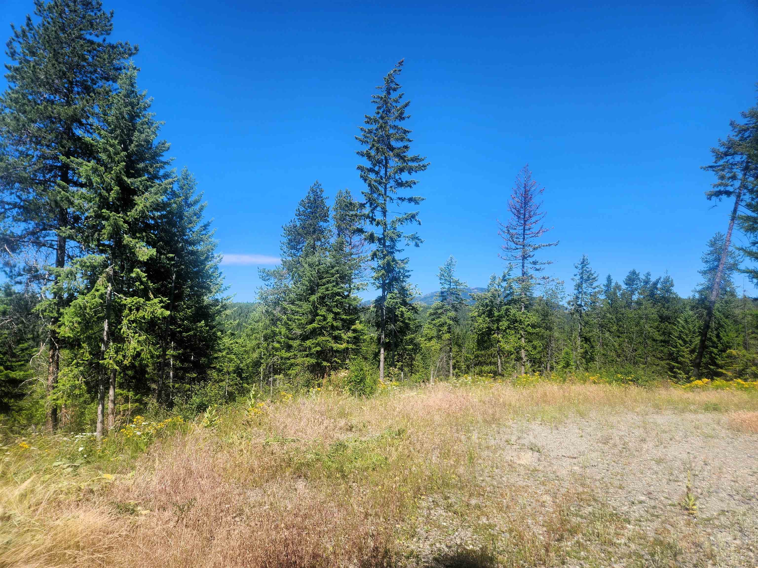 1492 Portrait Way Colville, WA 99114 - Photo 16 of 20