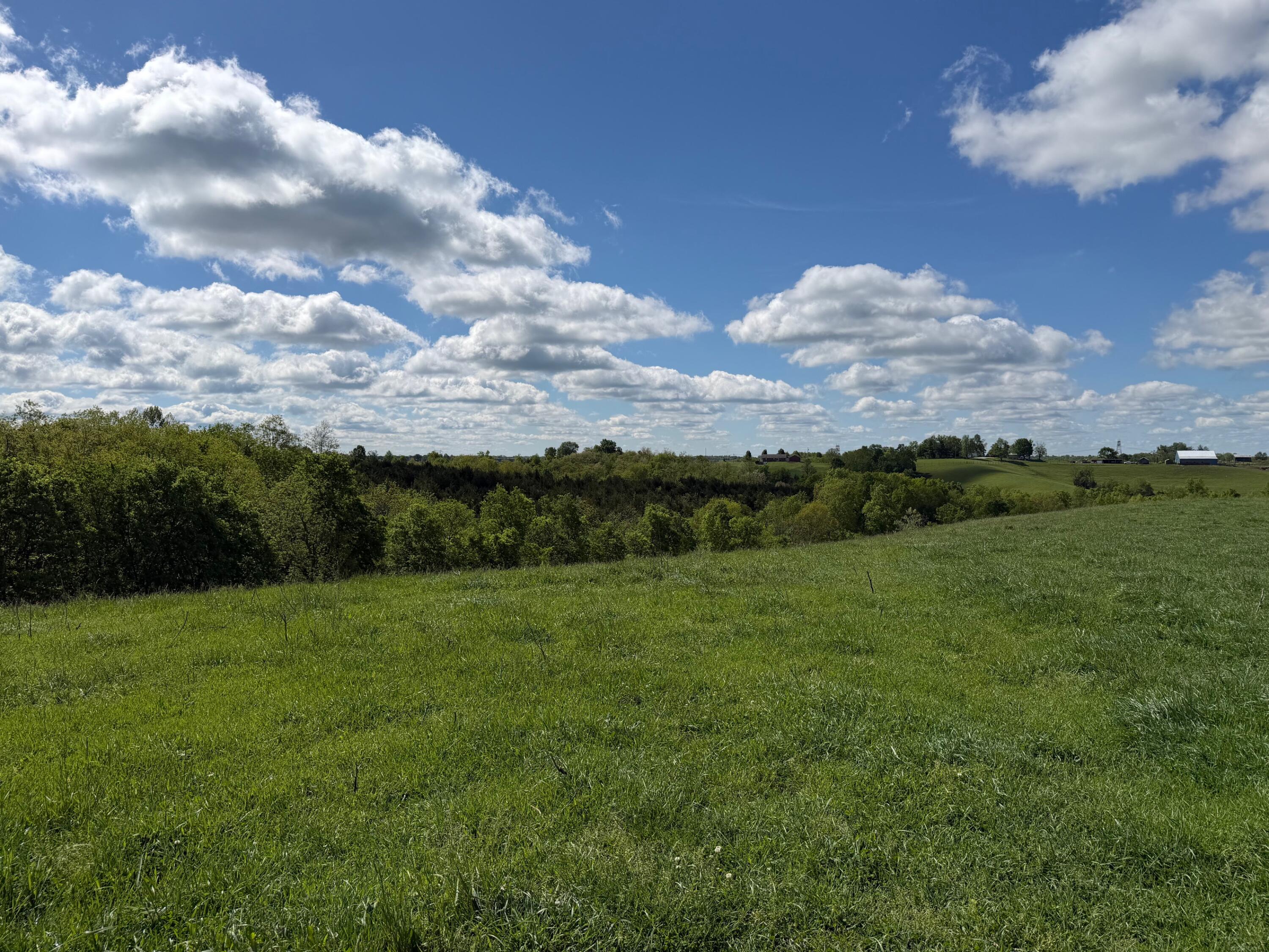 24.81-ac Chipman Ridge Road Williamstown, KY 41097 - Photo 8 of 17
