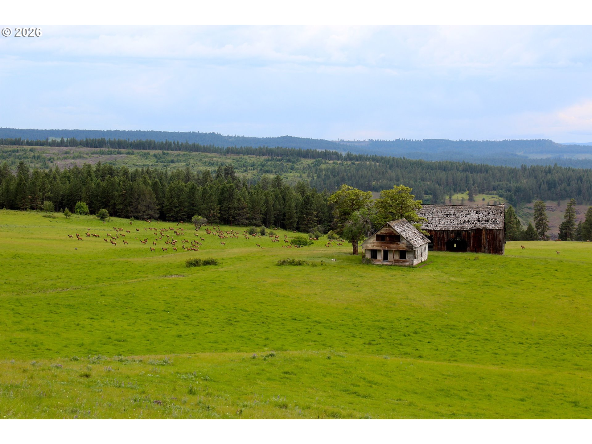 83584 Troy Road Wallowa, OR 97885 - Photo 13 of 48 a terrace with lake view