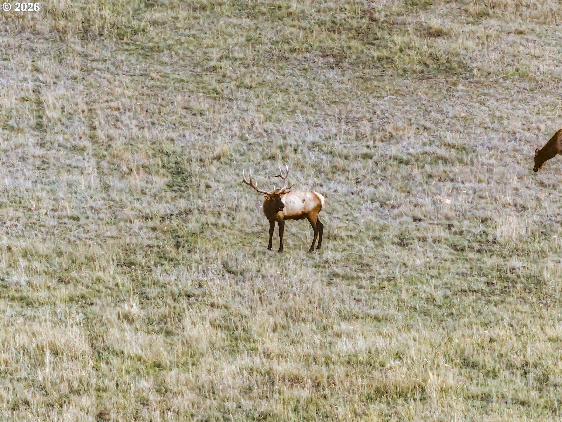 83584 Troy Road Wallowa, OR 97885 - Photo 14 of 48 a brick wall with a shower in it