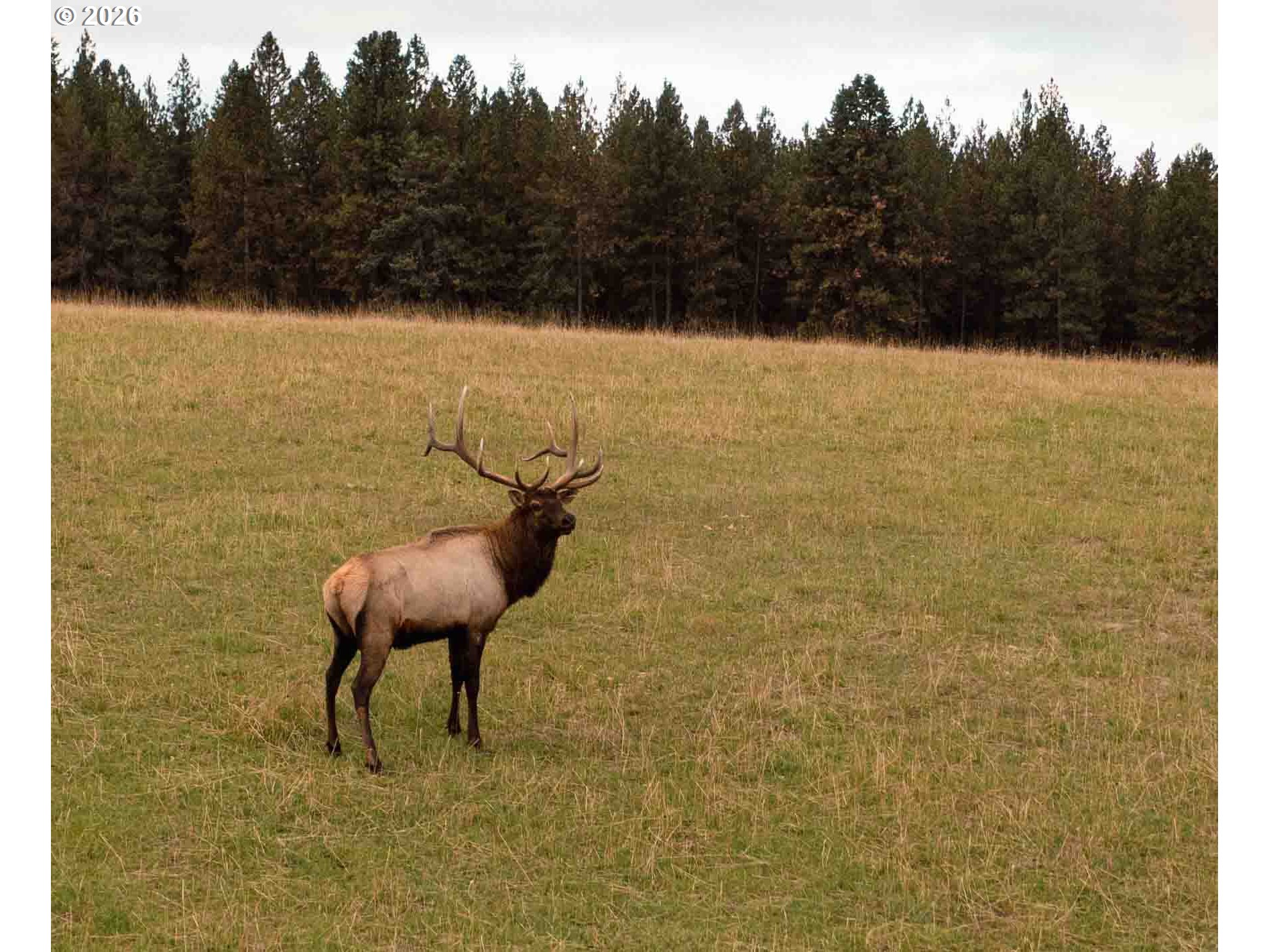 83584 Troy Road Wallowa, OR 97885 - Photo 15 of 48 a view of a lake from a bathroom