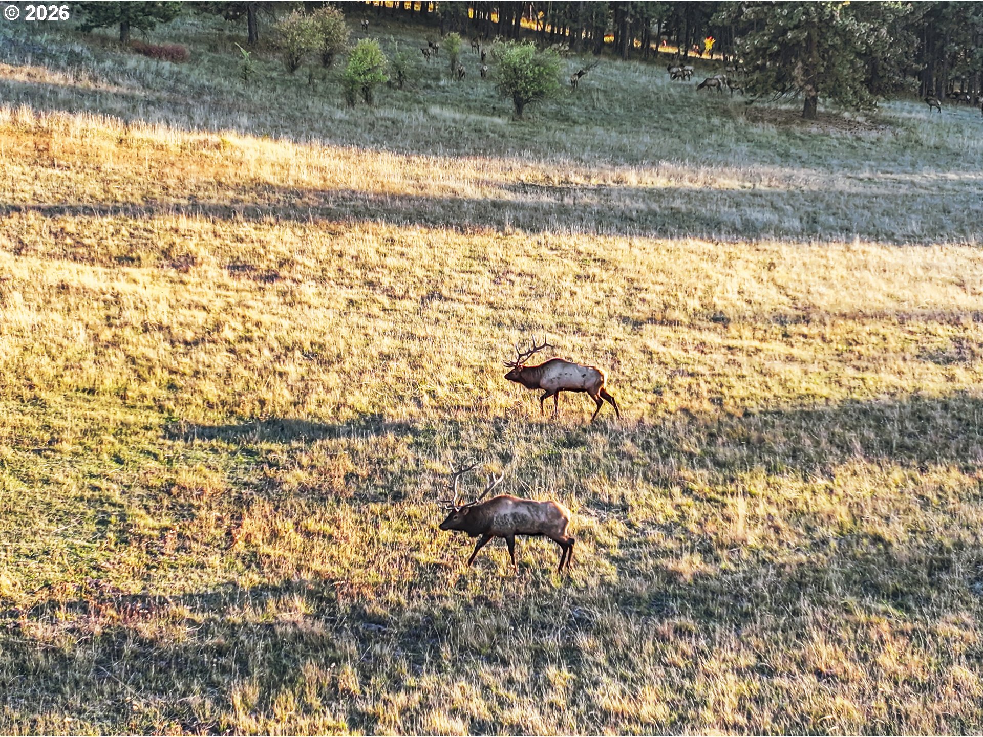 83584 Troy Road Wallowa, OR 97885 - Photo 16 of 48 a view of yard with wooden fence