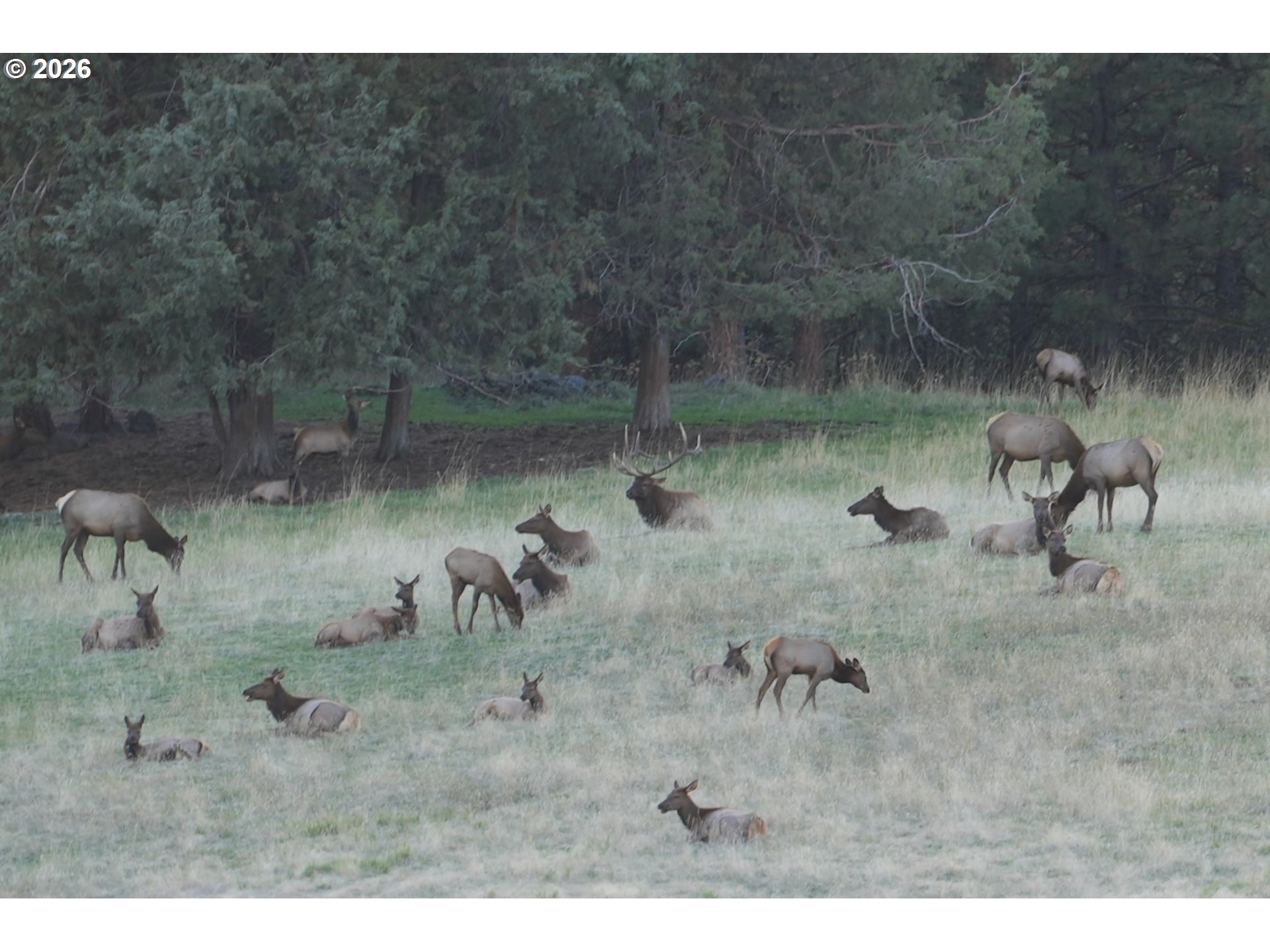 83584 Troy Road Wallowa, OR 97885 - Photo 17 of 48 a view of a lake with a yard
