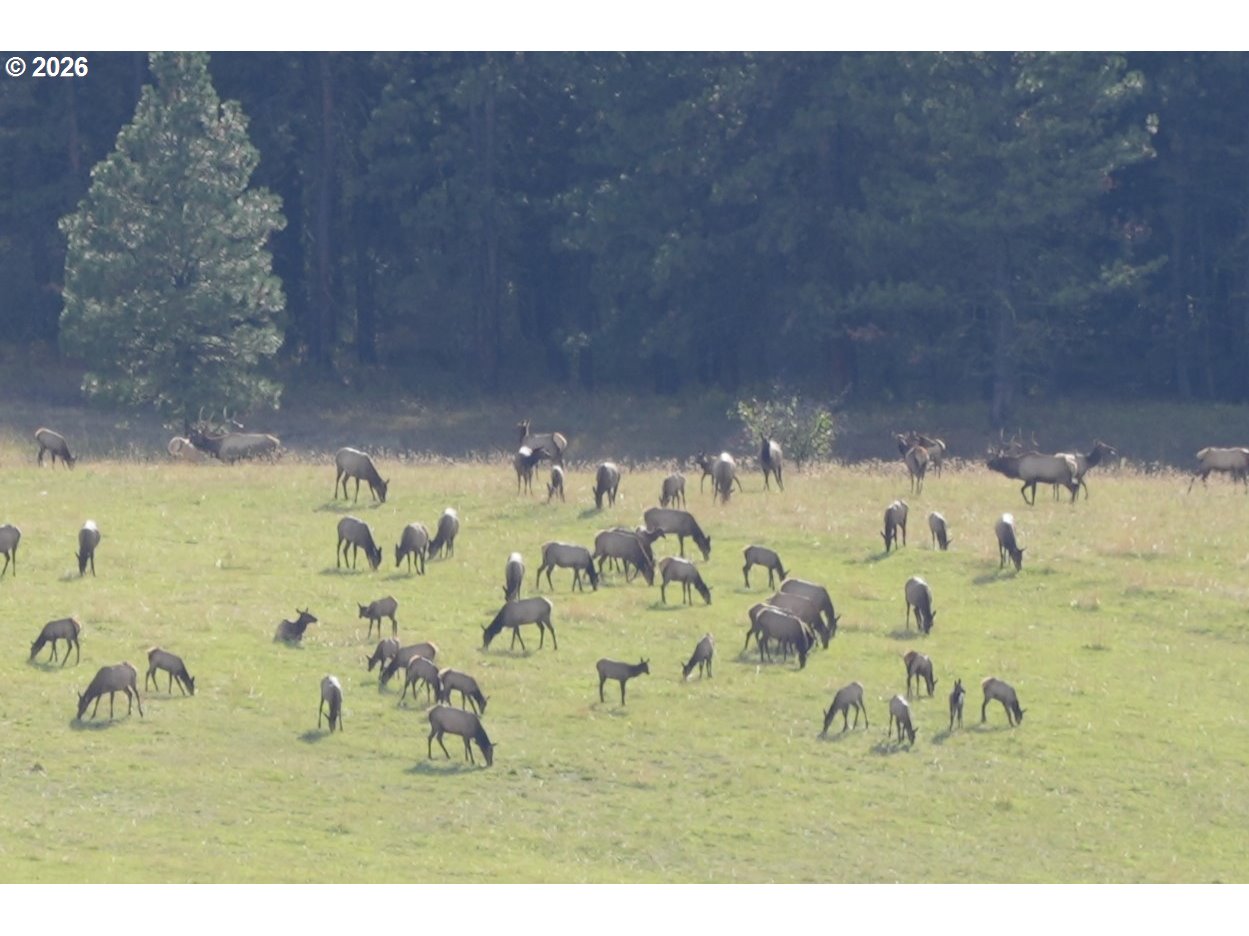 83584 Troy Road Wallowa, OR 97885 - Photo 19 of 48 a view of water heater room