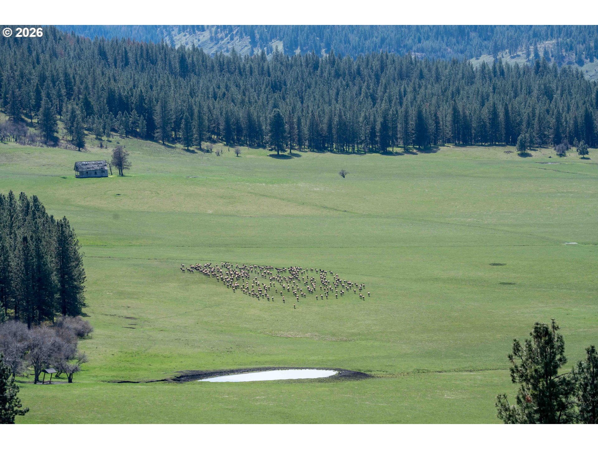 83584 Troy Road Wallowa, OR 97885 - Photo 20 of 48 a view of outdoor space with deck and yard