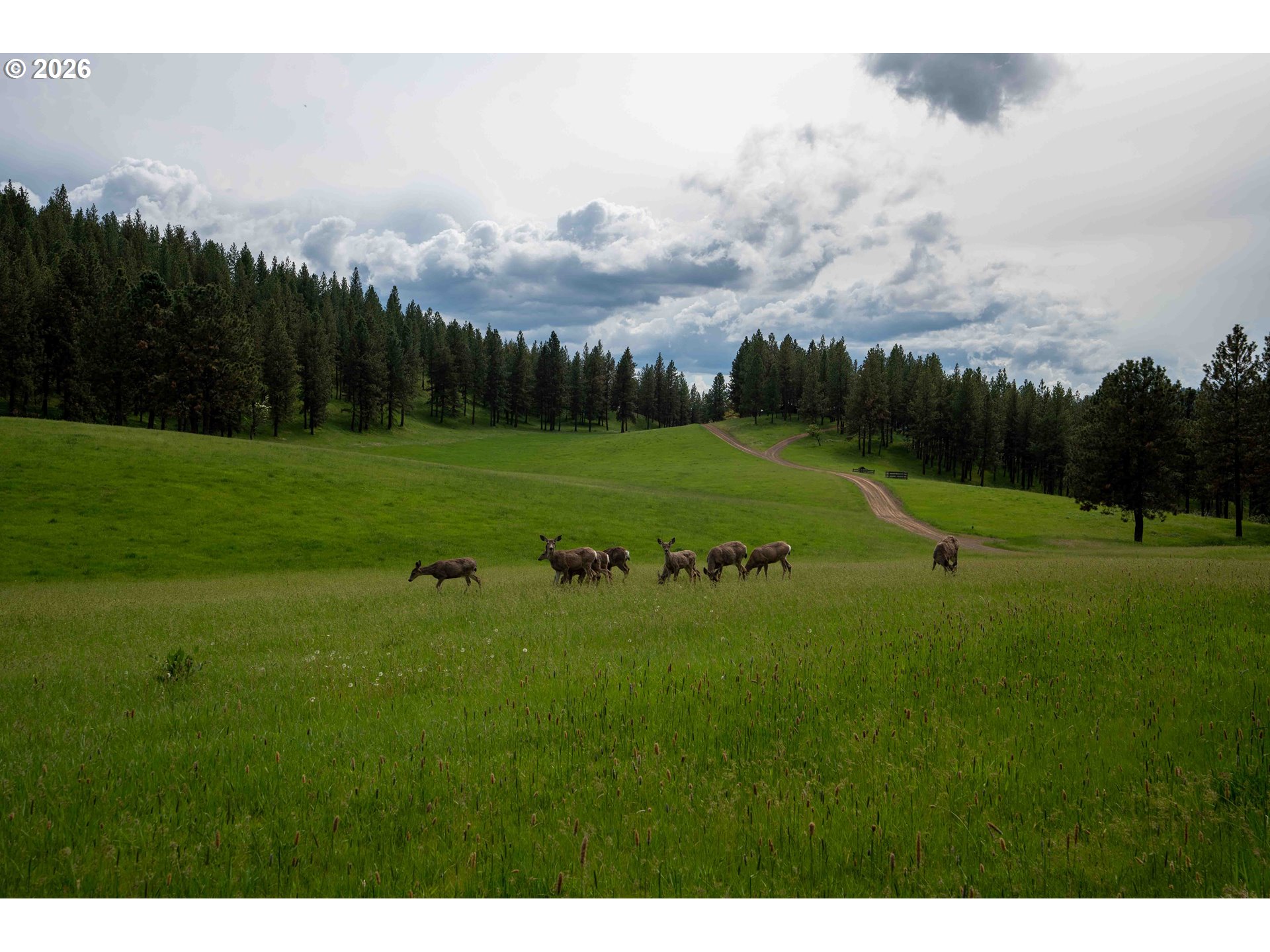 83584 Troy Road Wallowa, OR 97885 - Photo 21 of 48 a view of a golf course with a garden