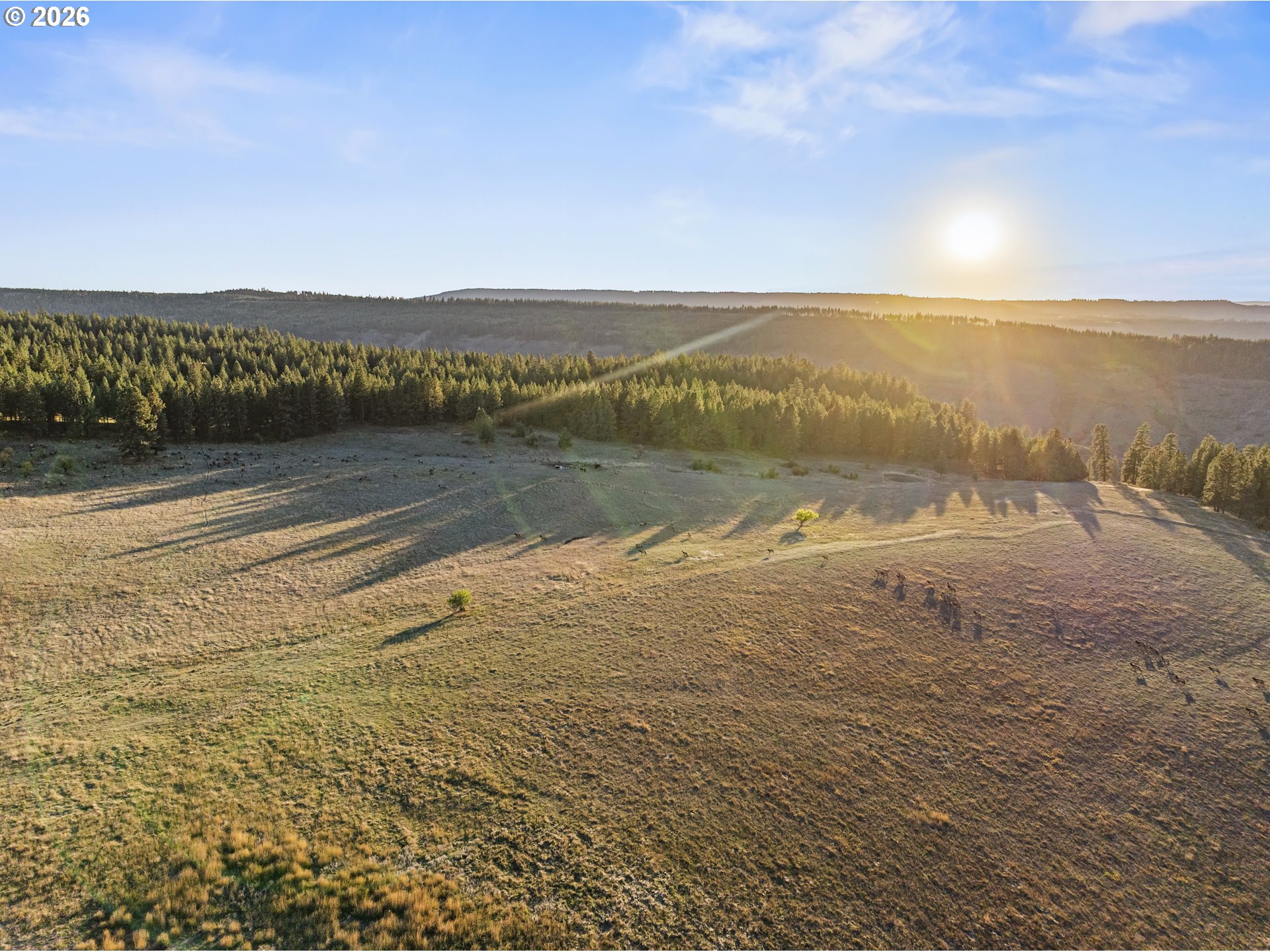 83584 Troy Road Wallowa, OR 97885 - Photo 29 of 48 a view of an ocean and beach