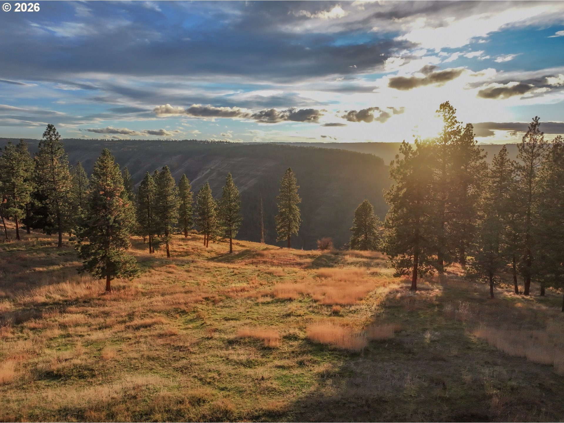 83584 Troy Road Wallowa, OR 97885 - Photo 30 of 48 a view of a yard next to a building