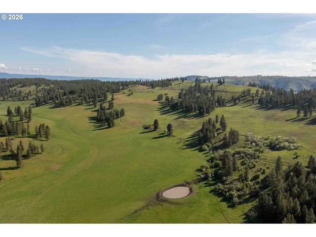 a view of a lush green hillside and houses