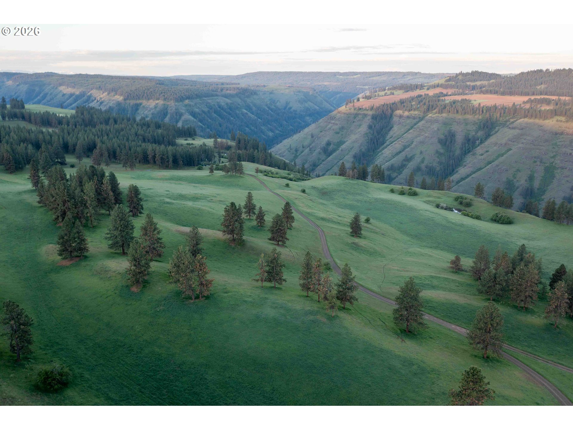 83584 Troy Road Wallowa, OR 97885 - Photo 34 of 48 a view of a lush green hillside and houses