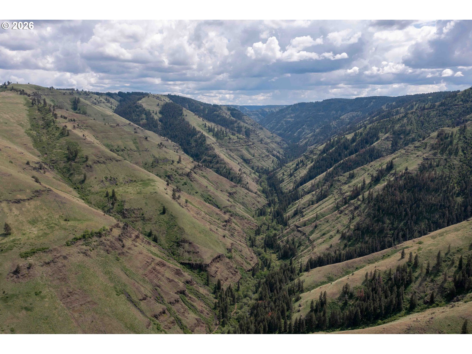 83584 Troy Road Wallowa, OR 97885 - Photo 46 of 48 a view of a dry yard with mountains in the background