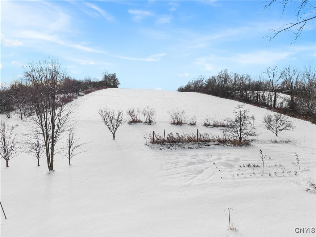 2336 Turner Road Cato, NY 13166 - Photo 38 of 44 (24,920 value) town agricultural exemption from to