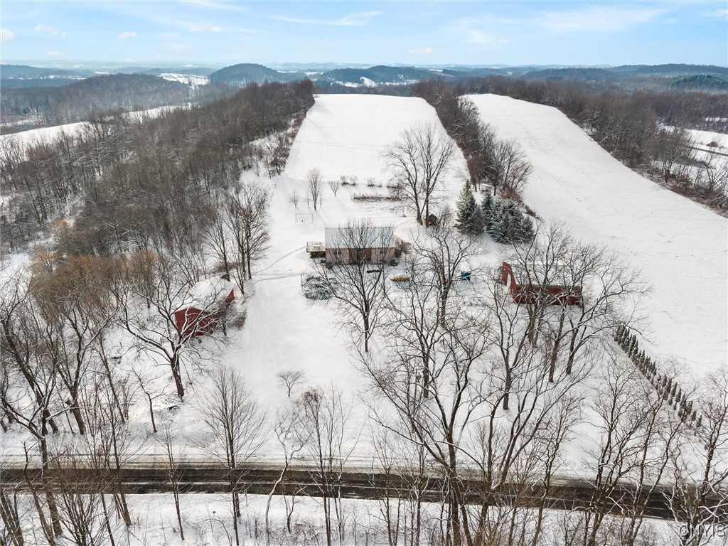 2336 Turner Road Cato, NY 13166 - Photo 40 of 44 64 acres
