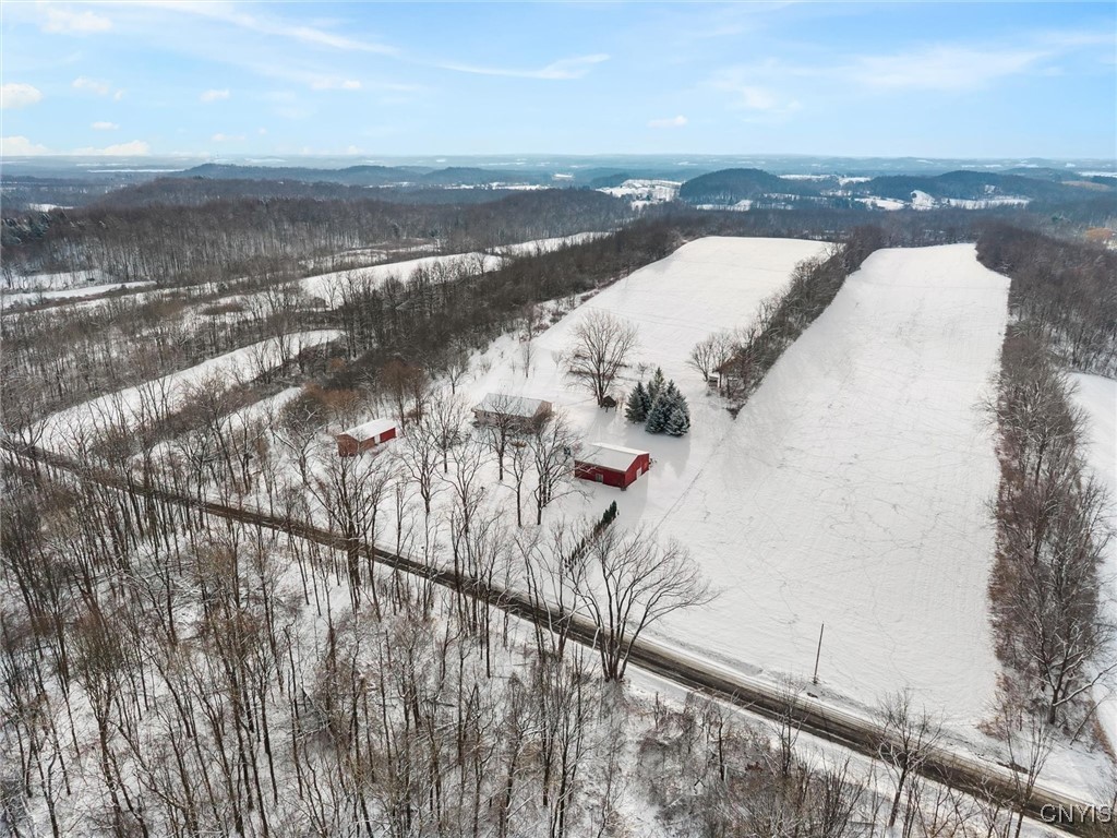 2336 Turner Road Cato, NY 13166 - Photo 41 of 44 64 acres