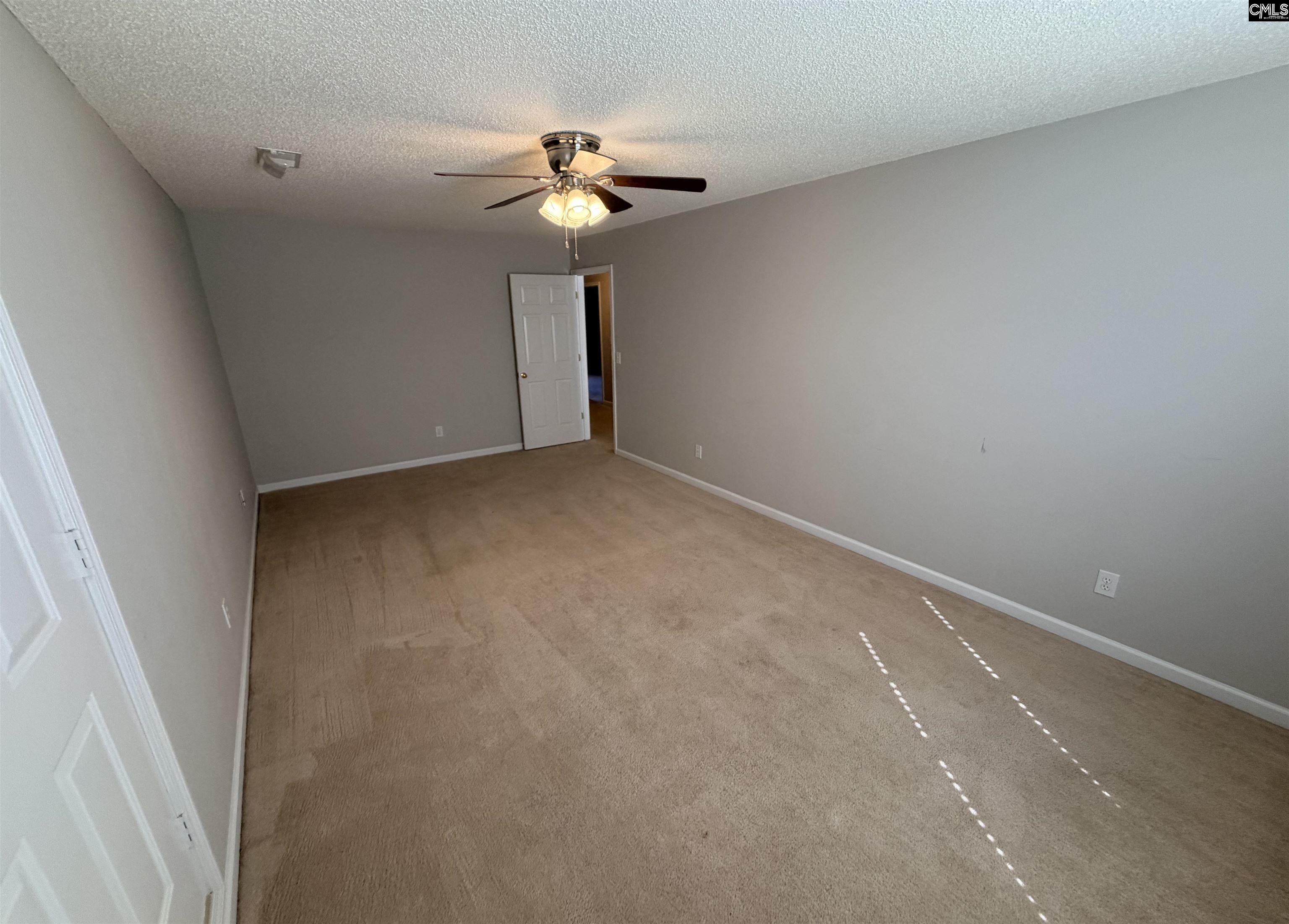 5 Redbrush Court Chapin, SC 29036 - Photo 23 of 36