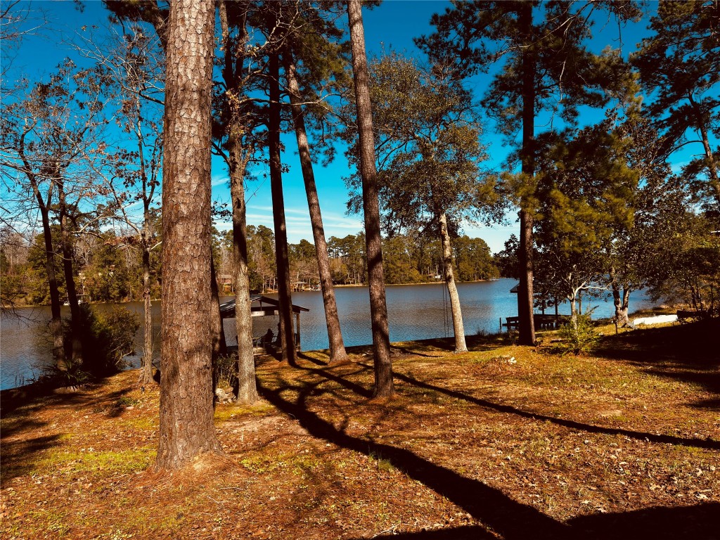 251 County Road Goodrich, TX 77335 - Photo 30 of 50 a backyard of a house with lots of green space