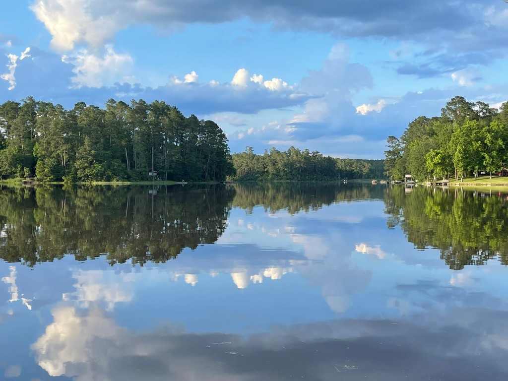 251 County Road Goodrich, TX 77335 - Photo 3 of 50 a view of a lake from a yard