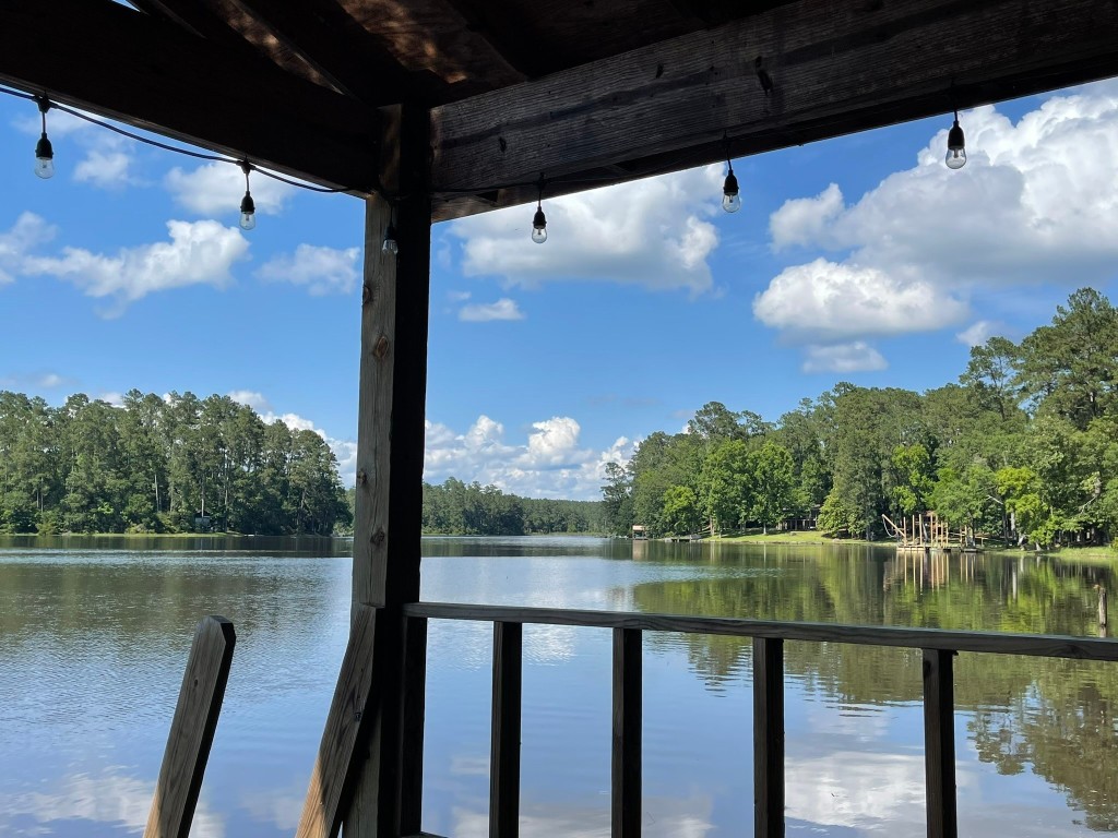 251 County Road Goodrich, TX 77335 - Photo 36 of 50 a view of a lake from a balcony