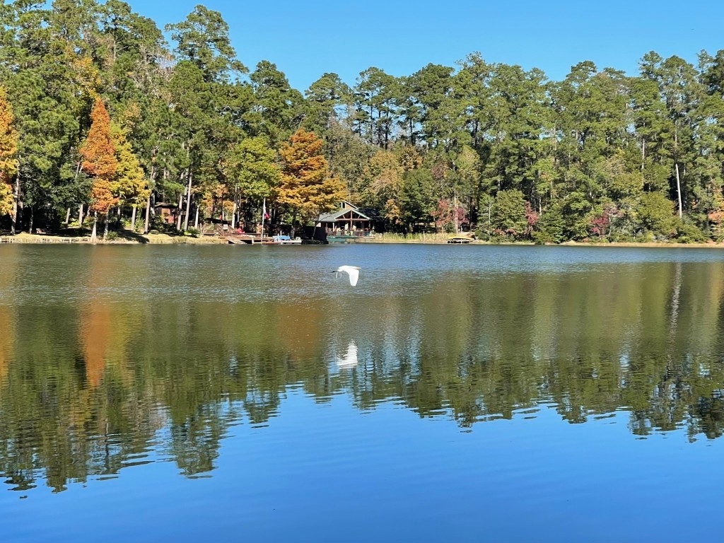 251 County Road Goodrich, TX 77335 - Photo 37 of 50 a view of lake