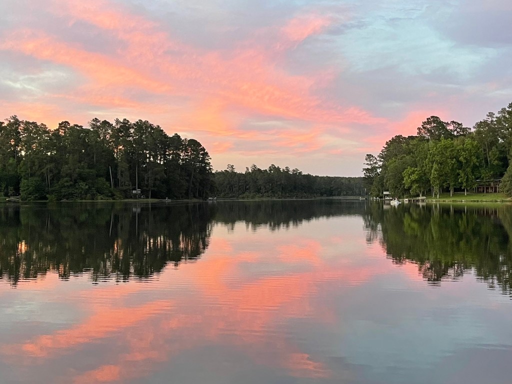 251 County Road Goodrich, TX 77335 - Photo 44 of 50