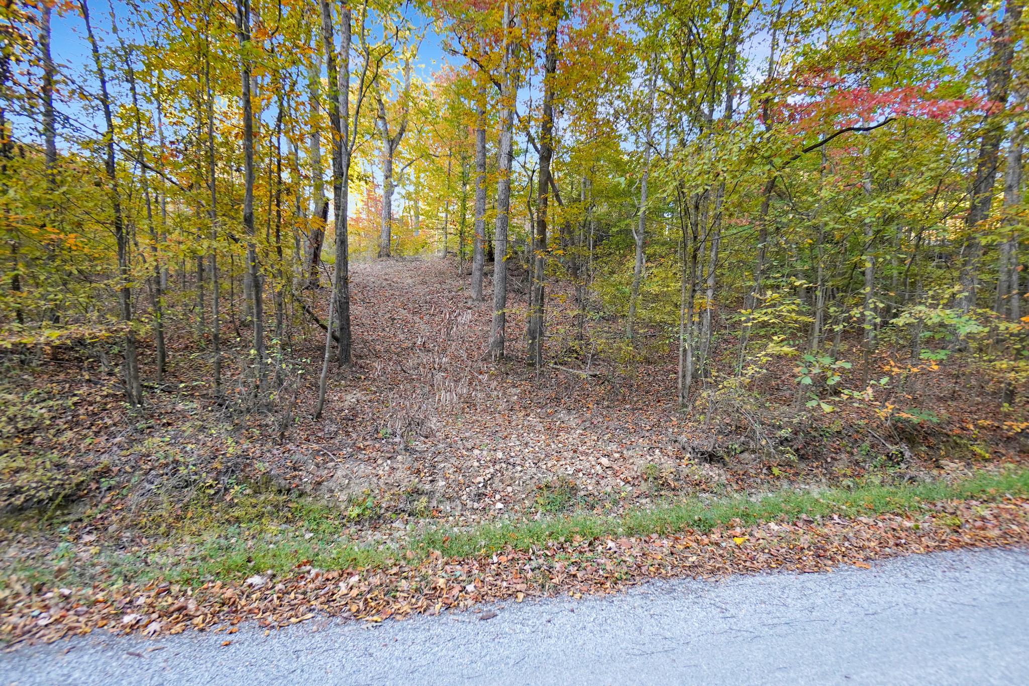 3 Cox Hollow Road Dover, TN 37058 - Photo 1 of 20 Gallery Image 1