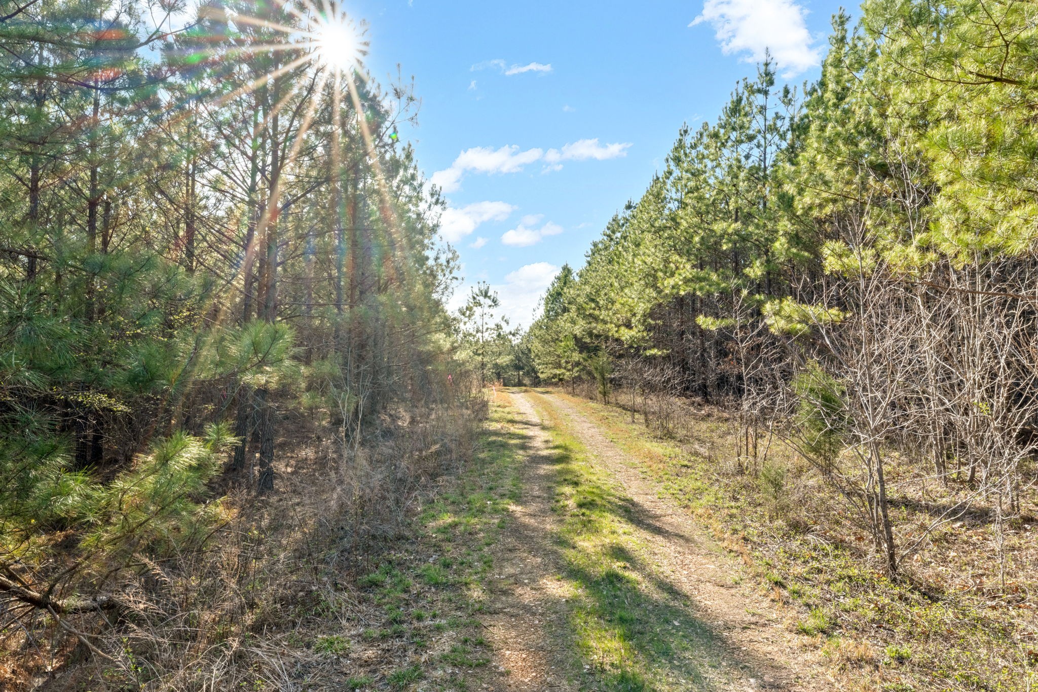 3 Cox Hollow Road Dover, TN 37058 - Photo 11 of 20 Gallery Image 11