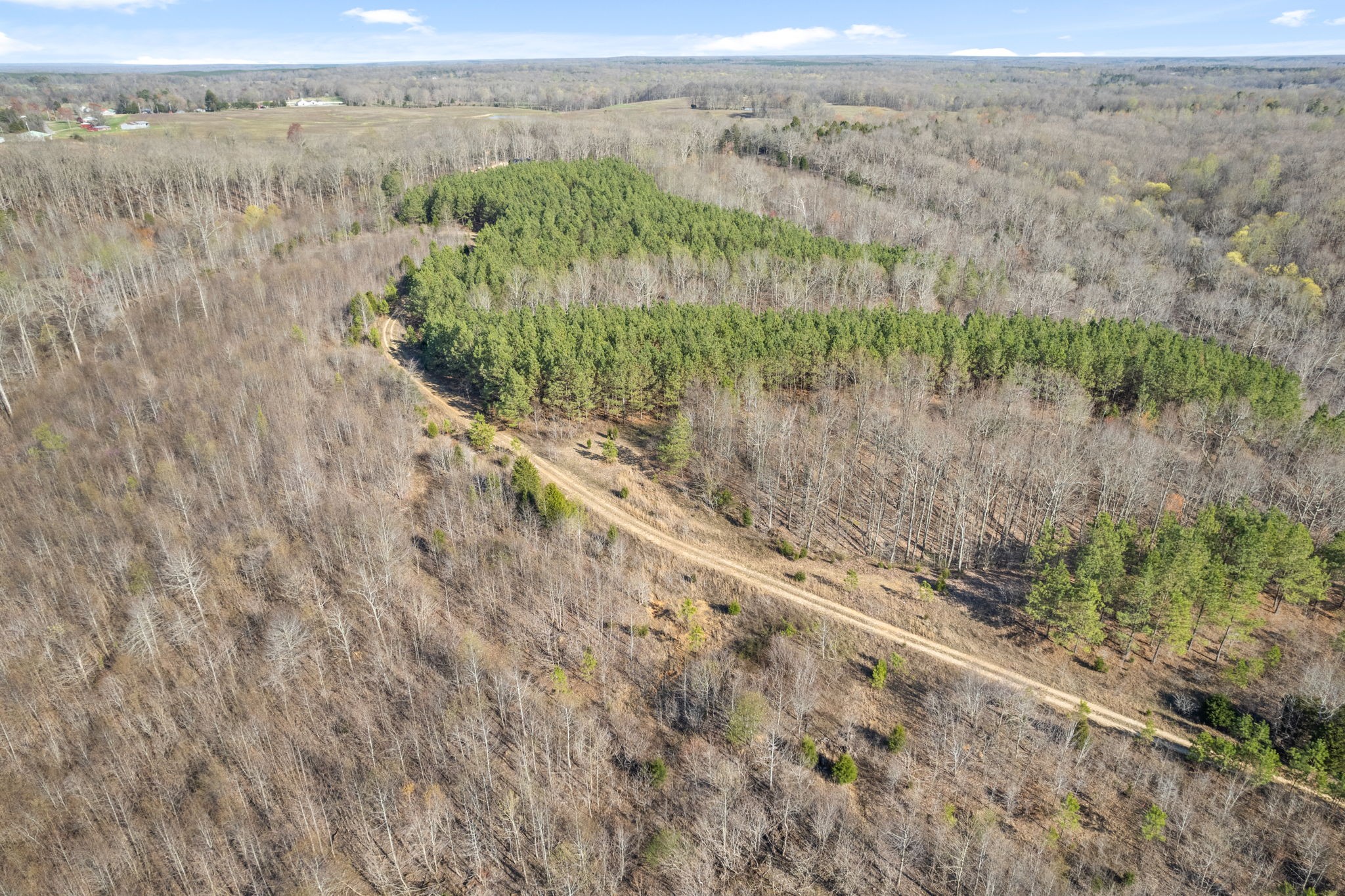 3 Cox Hollow Road Dover, TN 37058 - Photo 12 of 20 Gallery Image 12