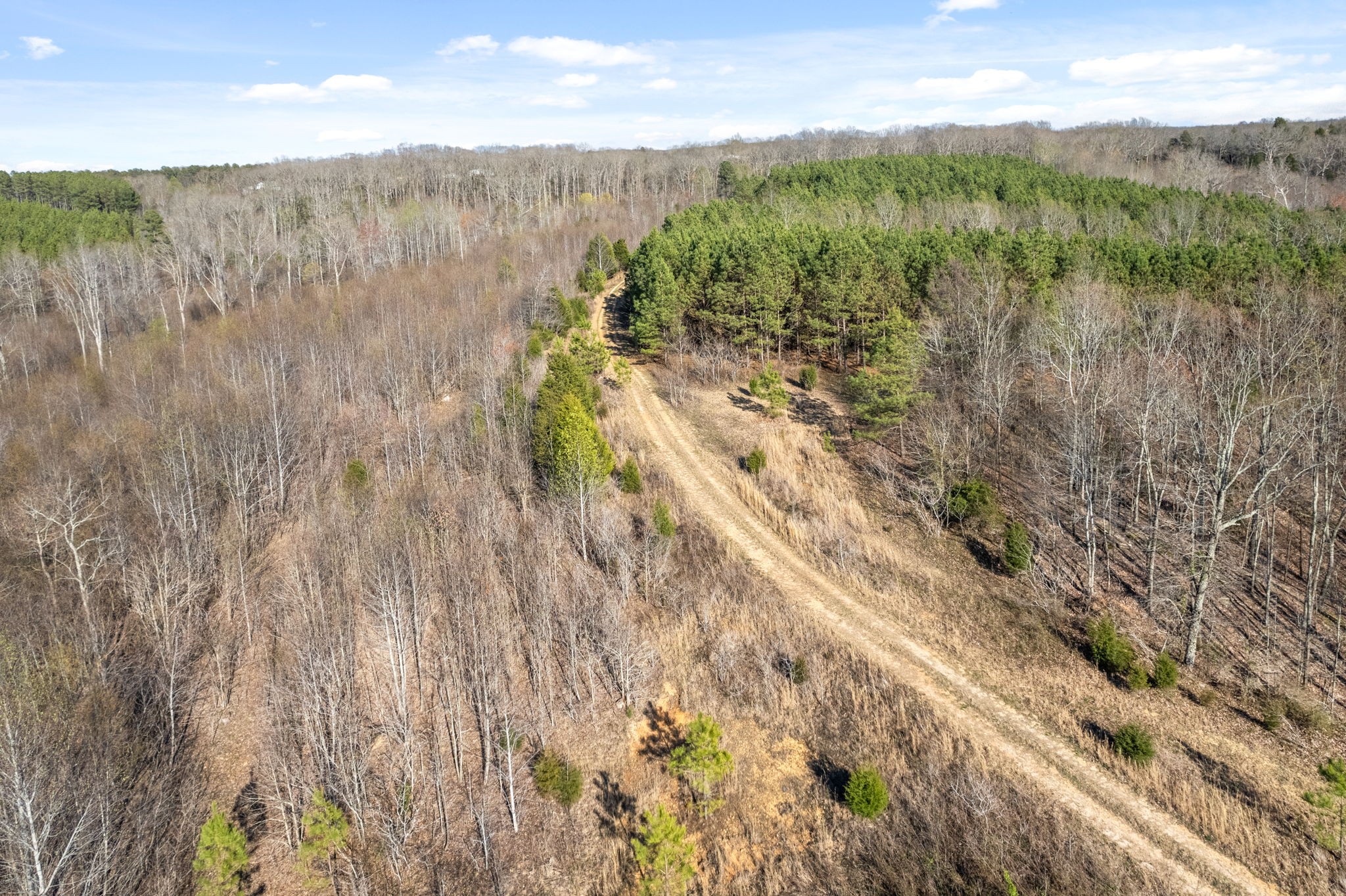 3 Cox Hollow Road Dover, TN 37058 - Photo 13 of 20 Gallery Image 13
