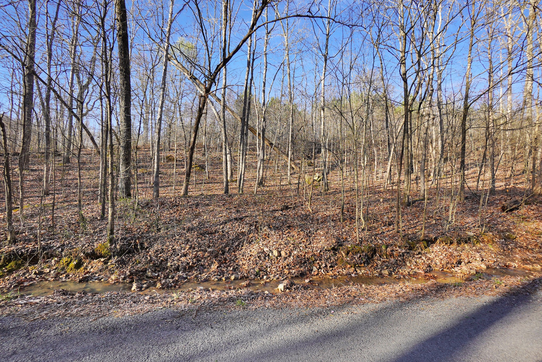3 Cox Hollow Road Dover, TN 37058 - Photo 14 of 20 Gallery Image 14