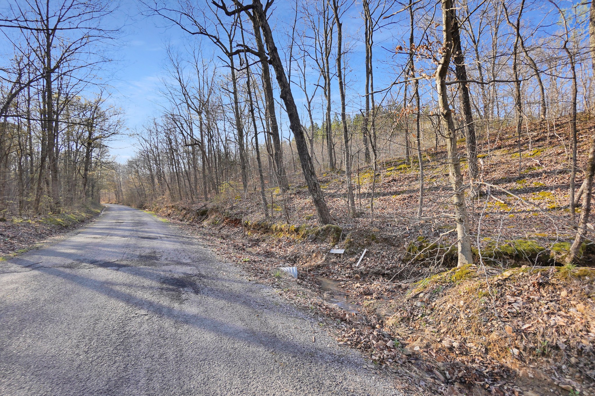 3 Cox Hollow Road Dover, TN 37058 - Photo 15 of 20 Gallery Image 15