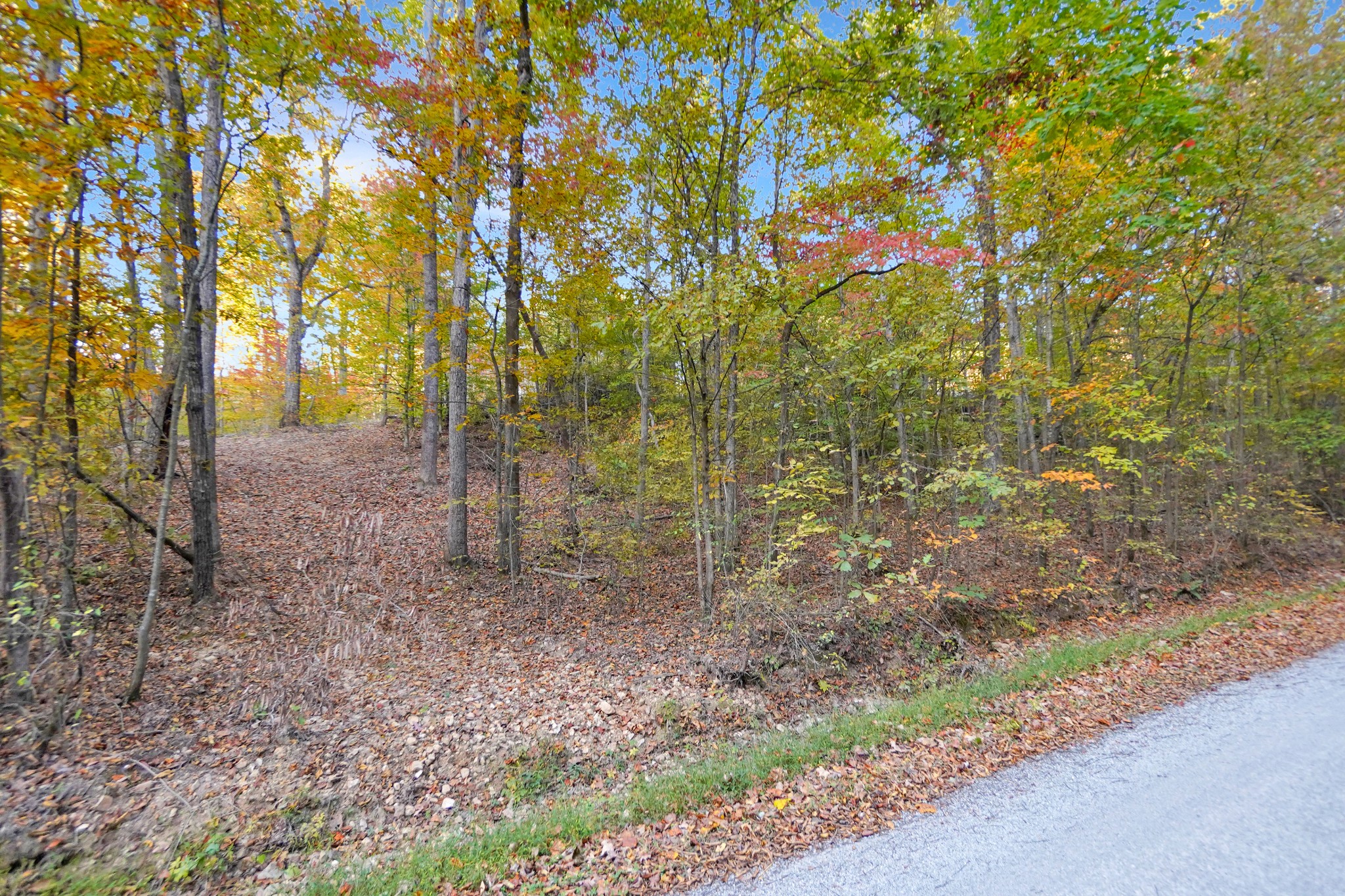 3 Cox Hollow Road Dover, TN 37058 - Photo 7 of 20 Gallery Image 7