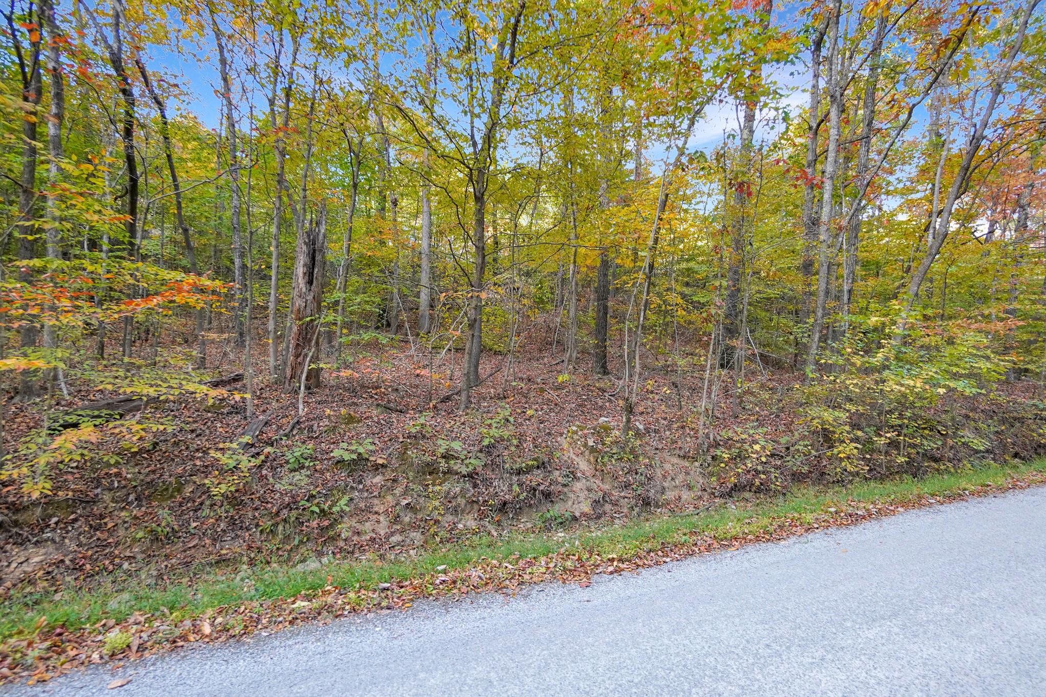 3 Cox Hollow Road Dover, TN 37058 - Photo 8 of 20 Gallery Image 8