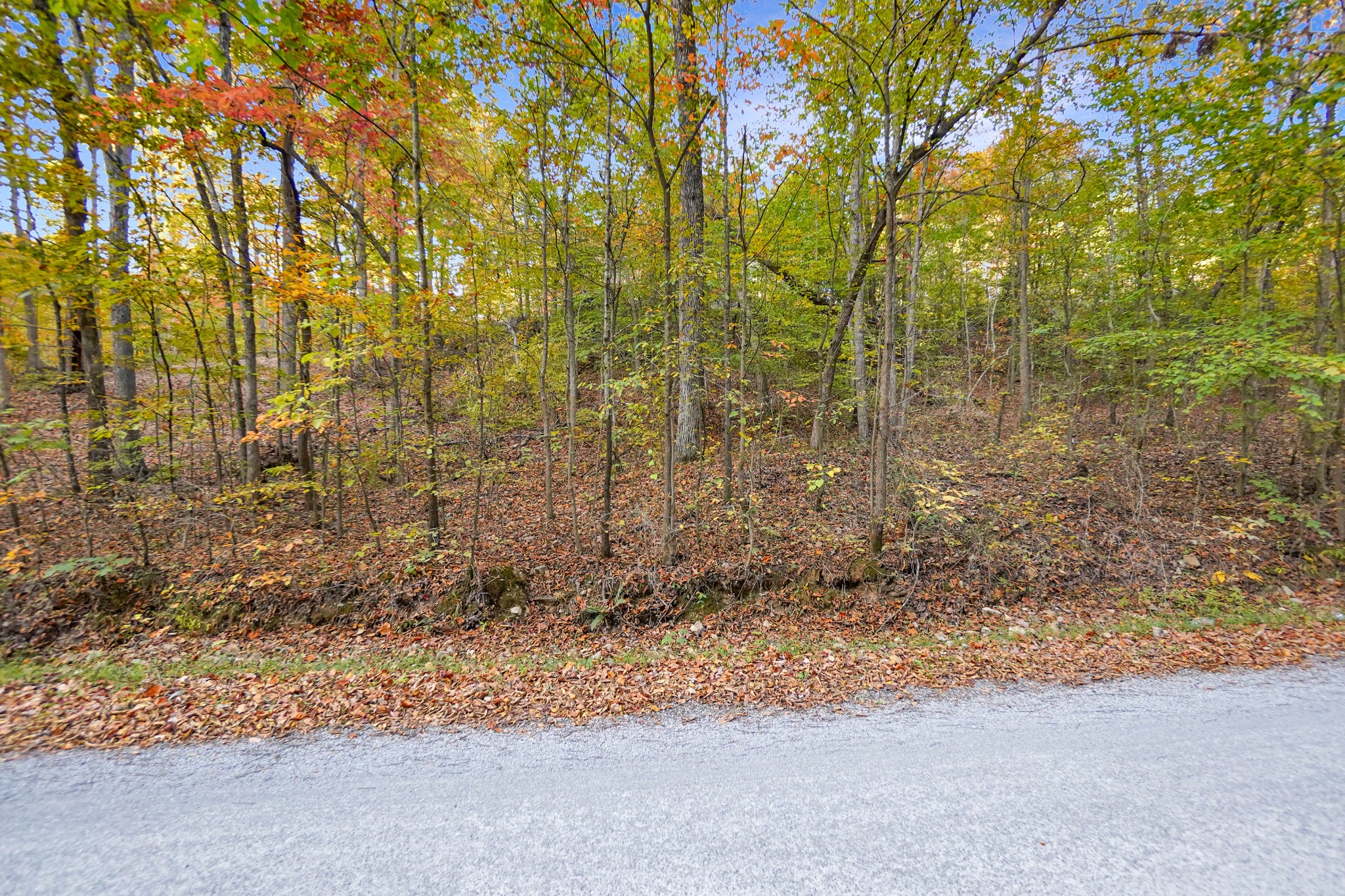 3 Cox Hollow Road Dover, TN 37058 - Photo 10 of 20 Gallery Image 10